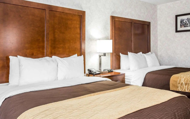 photo 4 of Best Western Plus Greenville I-385 Inn & Suites