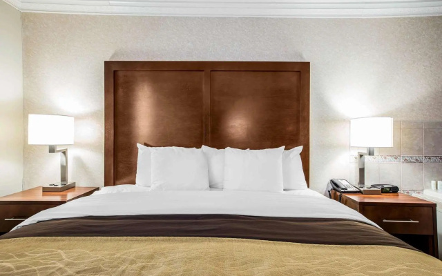 photo 5 of Best Western Plus Greenville I-385 Inn & Suites