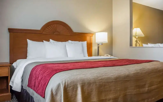 photo 5 of Comfort Inn & Suites