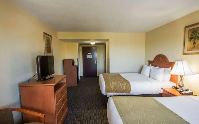 photo 4 of Comfort Inn & Suites