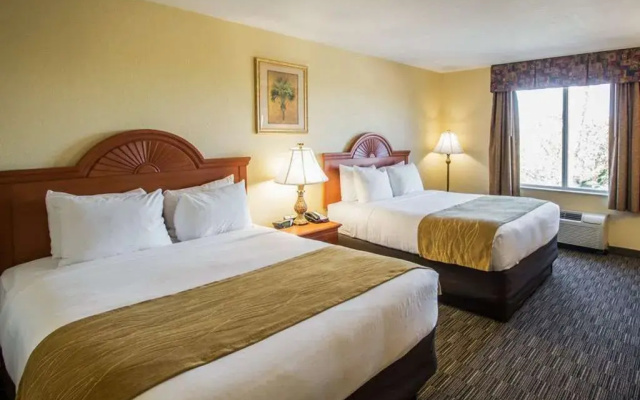 photo 5 of Comfort Inn & Suites