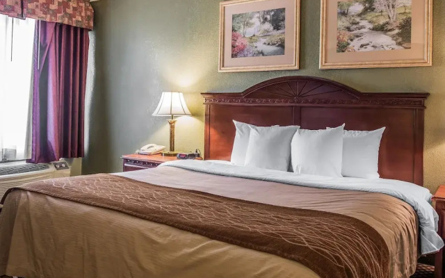 photo 5 of Comfort Inn & Suites Ann Arbor