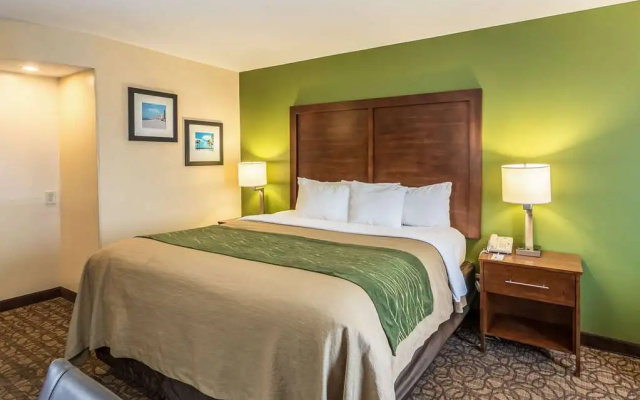 photo 4 of Comfort Inn & Suites