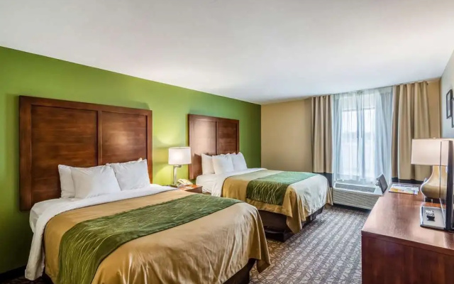 photo 5 of Comfort Inn & Suites