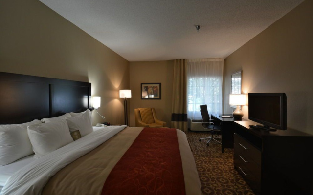 photo 4 of Comfort Inn & Suites