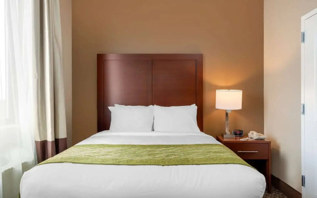 photo 3 of Comfort Inn & Suites near JFK Air Train