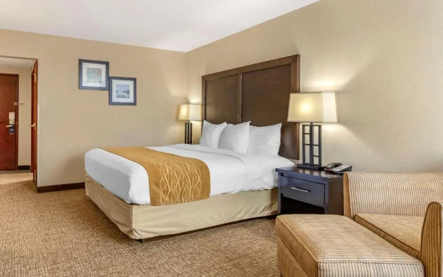 photo 3 of Comfort Inn & Suites Allen Park/dearborn