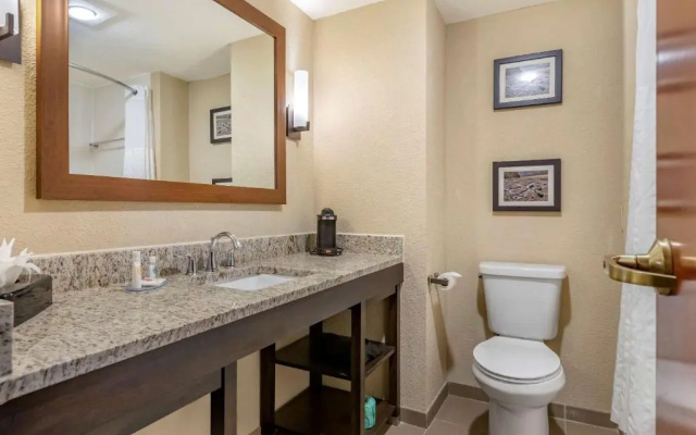 photo 5 of Comfort Inn & Suites Allen Park/dearborn