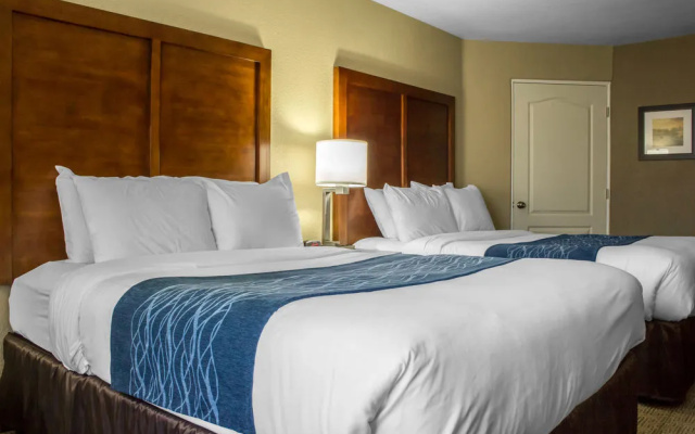 photo 4 of Spark by Hilton Glendale Phoenix North