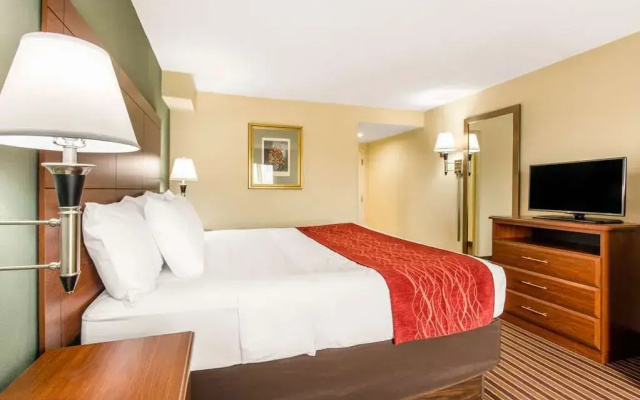 photo 5 of Comfort Inn & Suites Crabtree Valley