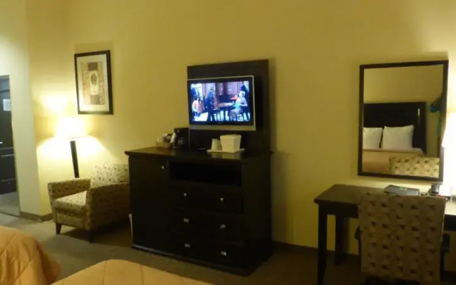photo 3 of Comfort Inn & Suites Downtown