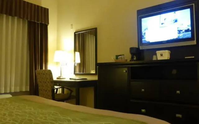 photo 4 of Comfort Inn & Suites Downtown