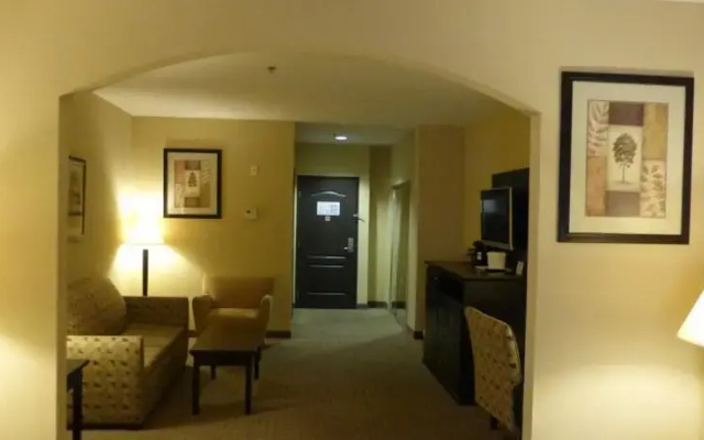 photo 5 of Comfort Inn & Suites Downtown