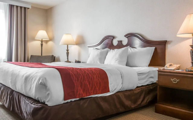 photo 3 of Comfort Inn & Suites East Greenbush - Albany