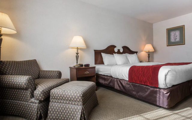 photo 4 of Comfort Inn & Suites East Greenbush - Albany