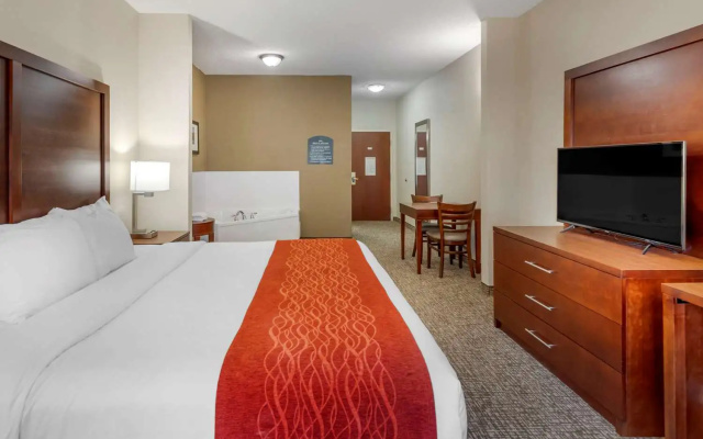 photo 3 of Comfort Inn & Suites Galleria