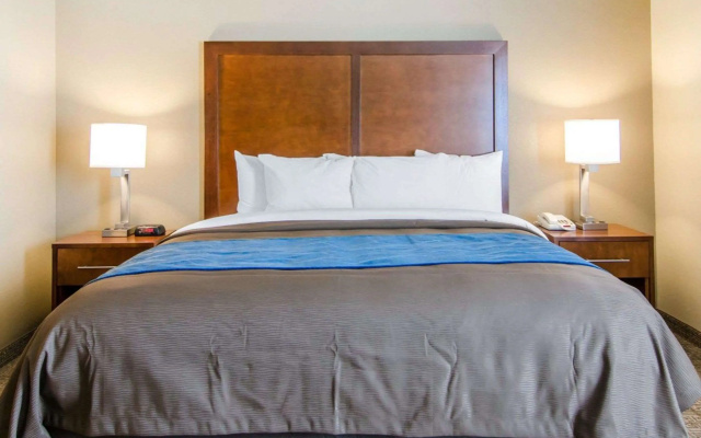 photo 4 of Comfort Inn & Suites Lynchburg Airport - University Area