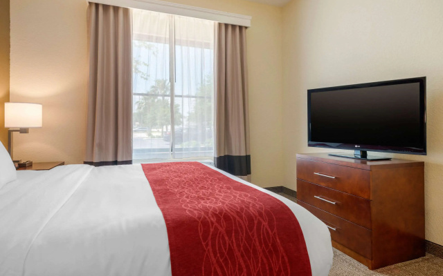 photo 3 of Comfort Inn & Suites Northeast - Gateway