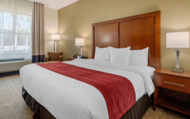 photo 4 of Comfort Inn & Suites Northeast - Gateway