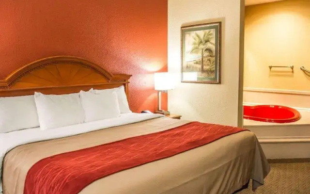 photo 2 of Comfort Inn & Suites Panama City - St Andrew