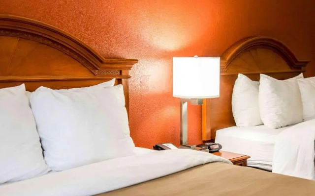 photo 5 of Comfort Inn & Suites Panama City - St Andrew