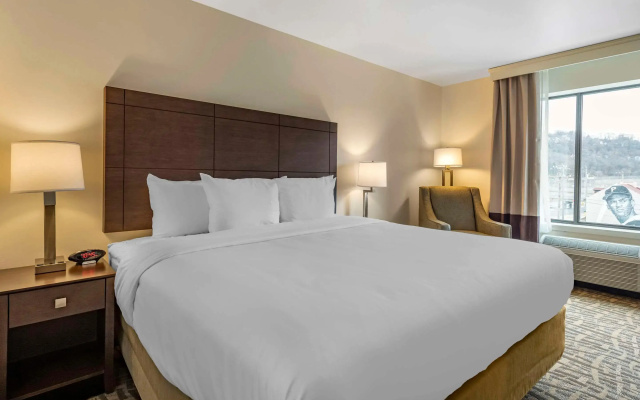 photo 3 of Comfort Inn & Suites Pittsburgh-Northshore