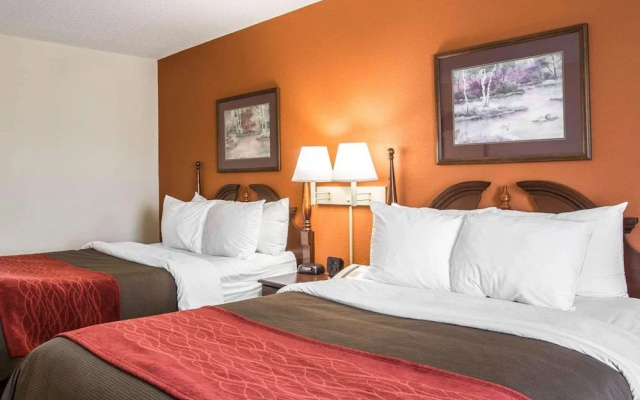 photo 3 of Comfort Inn & Suites Spartanburg North