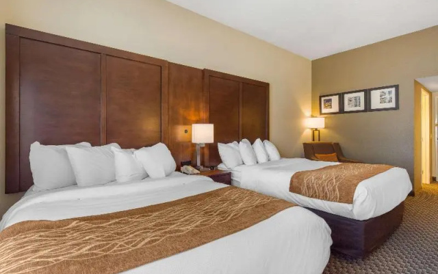 photo 4 of Comfort Inn & Suites SW Houston Sugarland