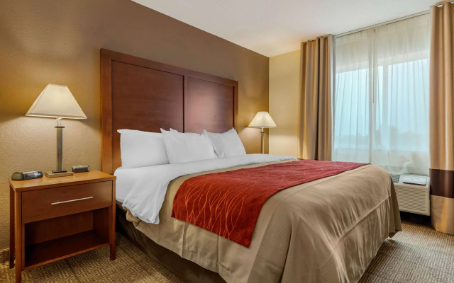 photo 5 of Comfort Inn Warren I-69