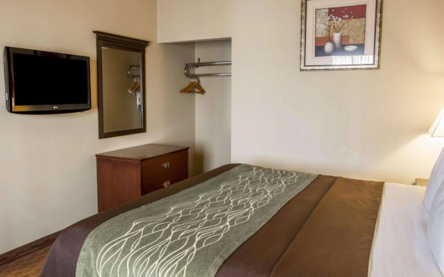 photo 4 of Comfort Inn Phoenix Central City