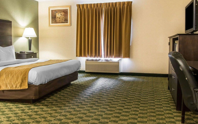photo 2 of Comfort Inn Whitehall near Michigan's Adventure