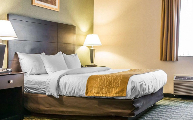 photo 3 of Comfort Inn Whitehall near Michigan's Adventure