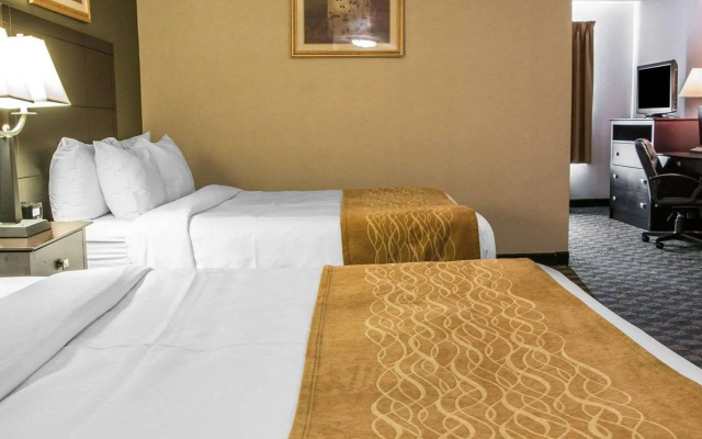 photo 4 of Comfort Inn Whitehall near Michigan's Adventure