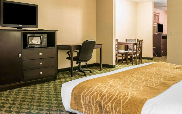 photo 5 of Comfort Inn Whitehall near Michigan's Adventure