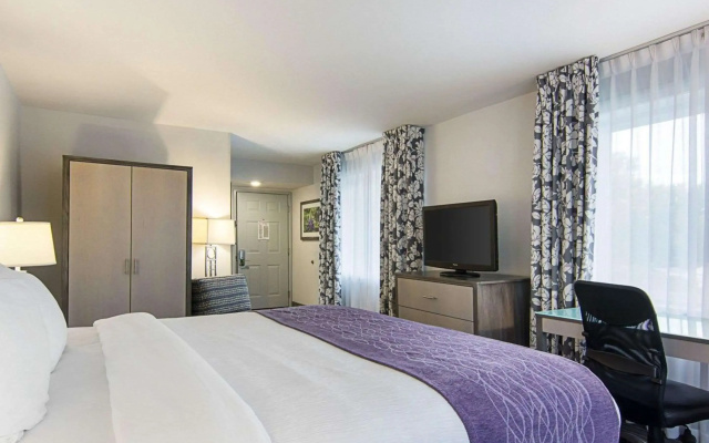 photo 3 of Comfort Inn Williamsburg Gateway