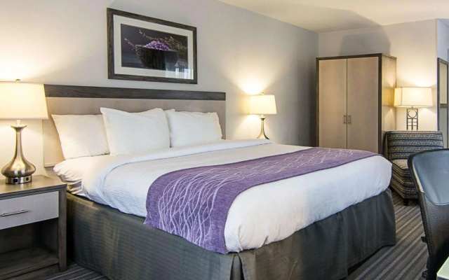 photo 4 of Comfort Inn Williamsburg Gateway