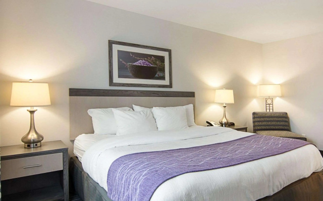 photo 5 of Comfort Inn Williamsburg Gateway