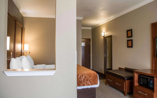 photo 3 of Comfort Suites New Braunfels - San Antonio Area
