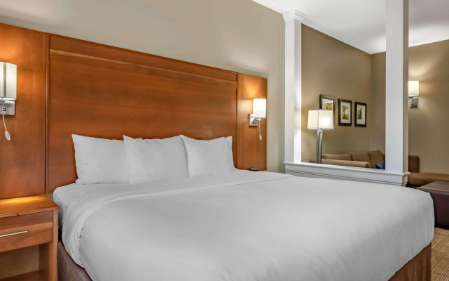 photo 3 of Comfort Suites Hotel and Conference Center