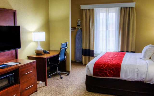 photo 4 of Comfort Suites Plymouth near US-30