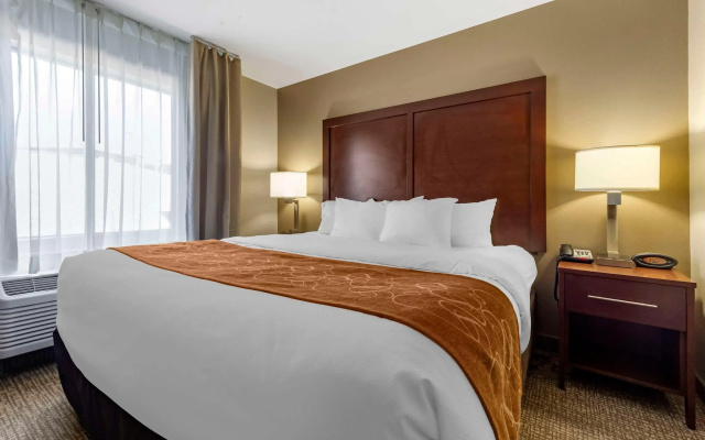 photo 3 of Comfort Suites Bridgeport - Clarksburg