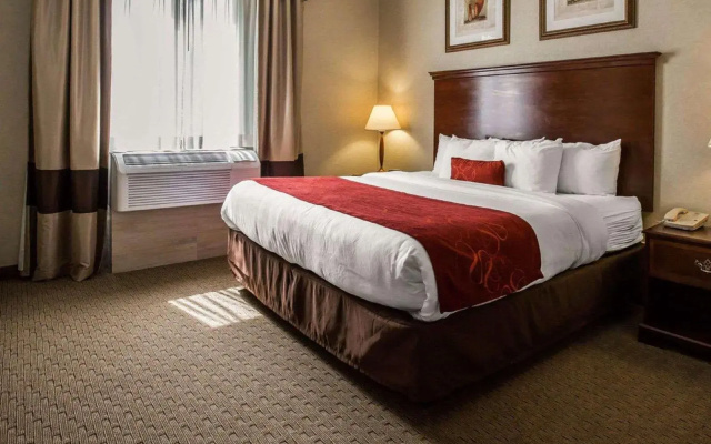 photo 4 of Comfort Suites Stafford
