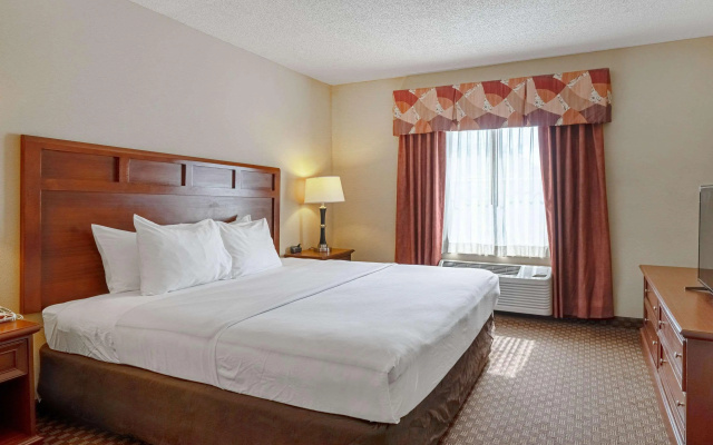 photo 3 of Quality Suites San Antonio Northeast