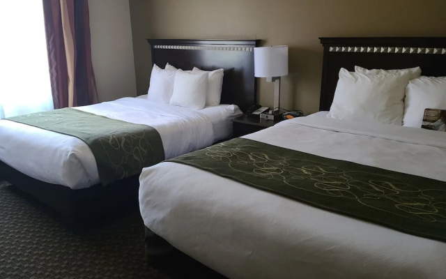 photo 3 of Comfort Suites