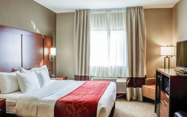 photo 4 of Comfort Suites Lombard - Addison