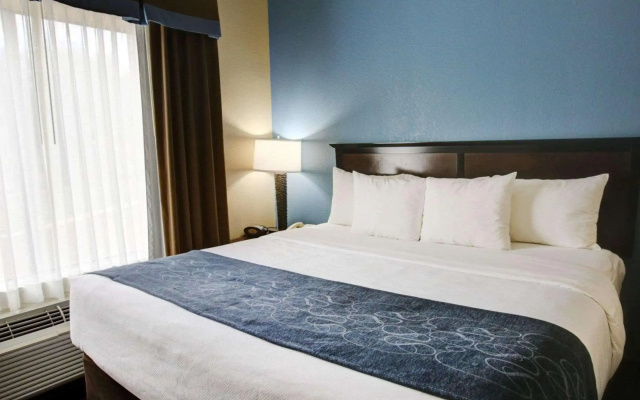 photo 4 of Comfort Suites Georgetown
