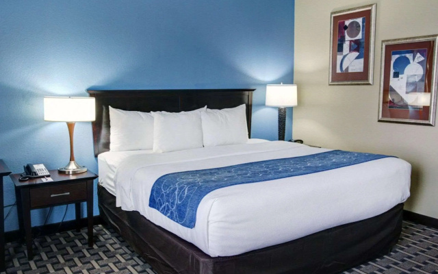 photo 5 of Comfort Suites Georgetown