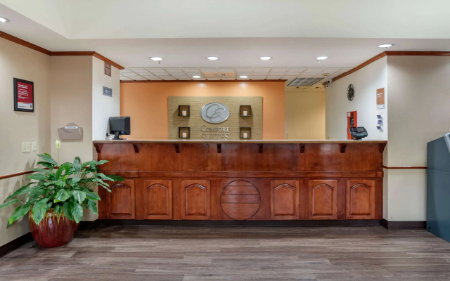 photo 2 of Comfort Suites Jacksonville Airport