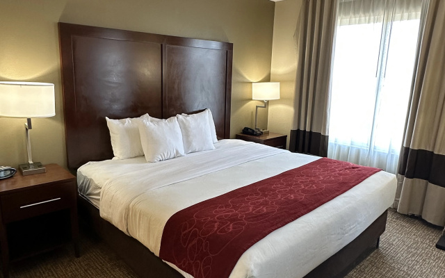 photo 3 of Charlotte Suites