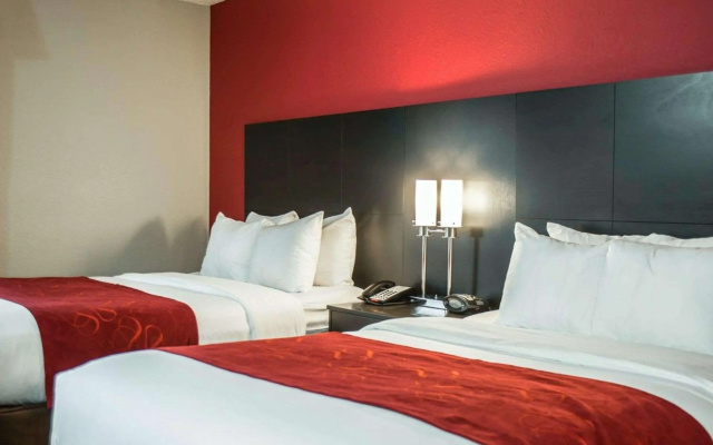 photo 4 of Comfort Suites Nashville Airport - BNA